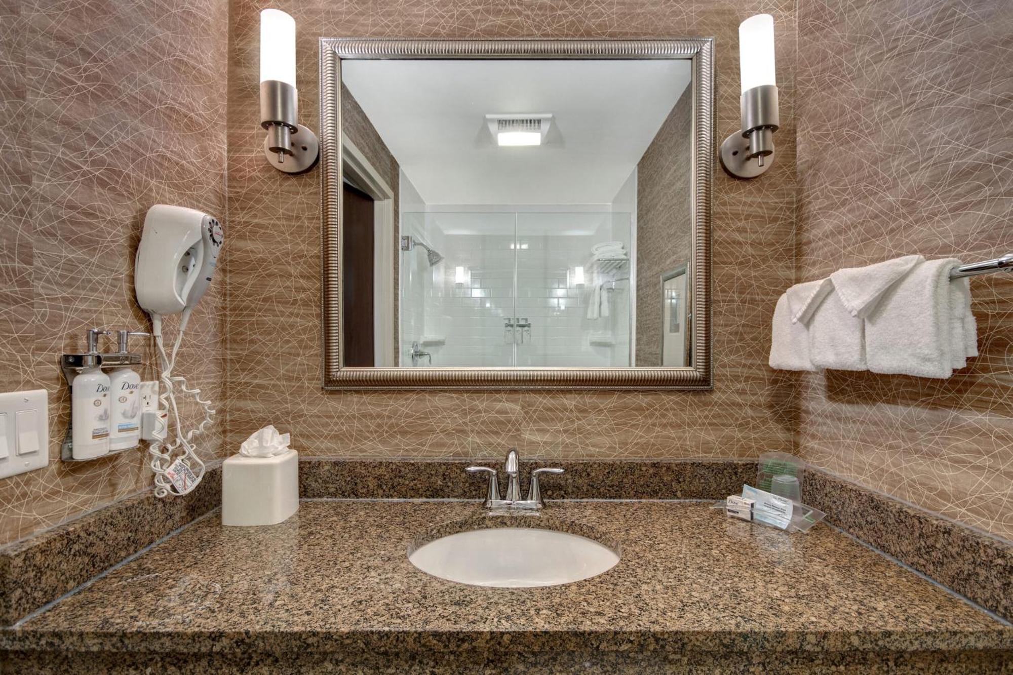 Holiday Inn Detroit Metro Airport By Ihg Ромулус Экстерьер фото