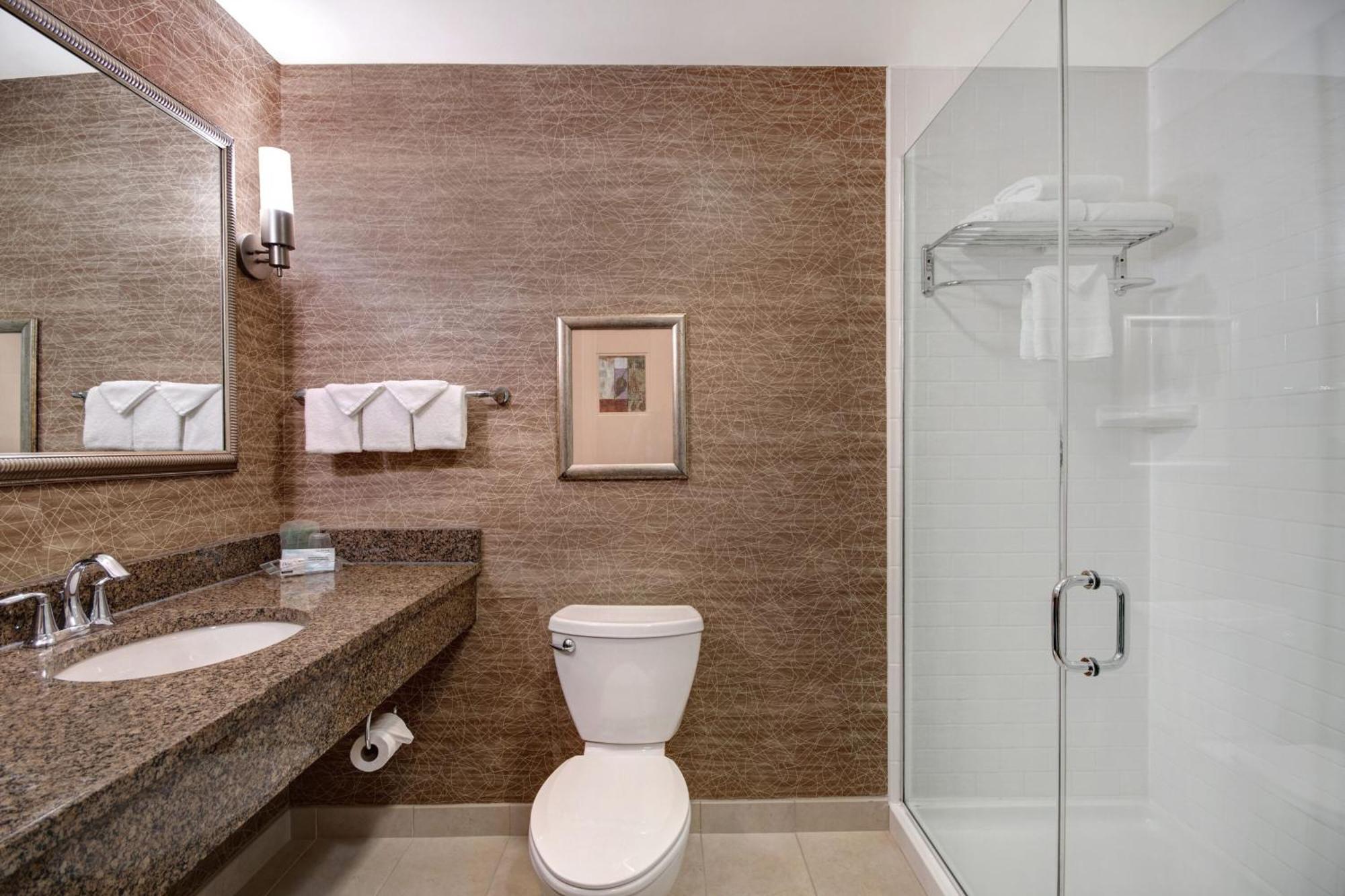 Holiday Inn Detroit Metro Airport By Ihg Ромулус Экстерьер фото